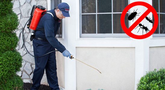 Boztepe Fare İlaçlama böcek ilaçlama ve haşere kontrolü — ilaclama-tr.com